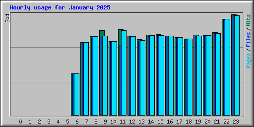 Hourly usage for January 2025