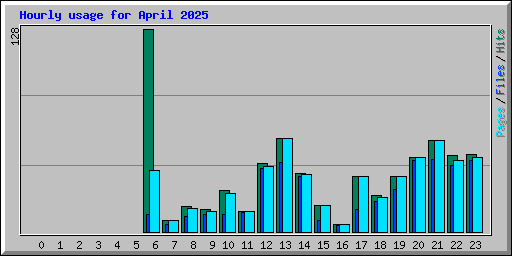 Hourly usage for April 2025