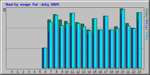 Hourly usage for July 2025