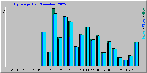 Hourly usage for November 2025