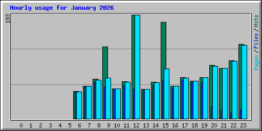 Hourly usage for January 2026