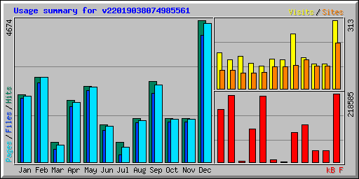 Usage summary for v22019038074985561